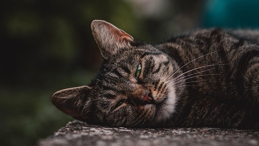 SOC疲れとは?アラート過多時代に起きるリスクと運用設計の5つの改善策